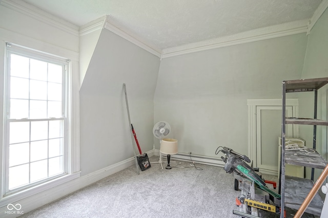 307 E 5th St, Sheridan, IN 46069 - interior space with ornamental molding, plenty of natural light, carpet floors, and baseboards