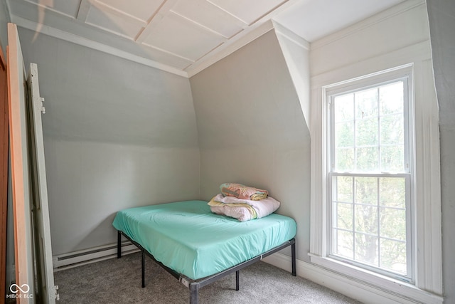 307 E 5th St, Sheridan, IN 46069 - bedroom with a baseboard radiator and carpet