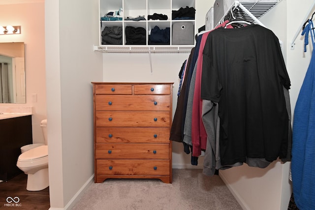 680 Albermarle Dr, Pittsboro, IN 46167 - spacious closet featuring carpet flooring