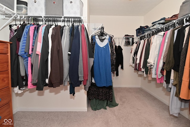 680 Albermarle Dr, Pittsboro, IN 46167 - walk in closet with carpet floors