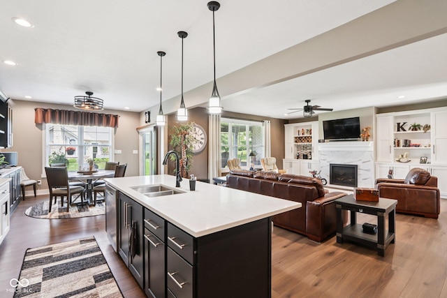 1295 Maclaren Ct, Franklin, IN 46131 - kitchen with a sink, wood finished floors, light countertops, stainless steel dishwasher, and a premium fireplace