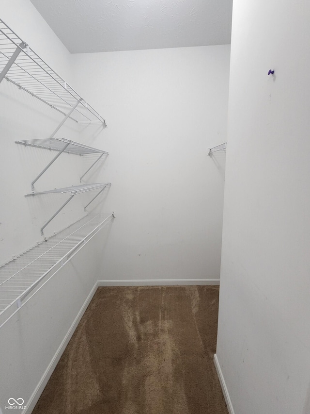5011 Amber Creek Pl Unit 205, Indianapolis, IN 46237 - spacious closet with carpet flooring