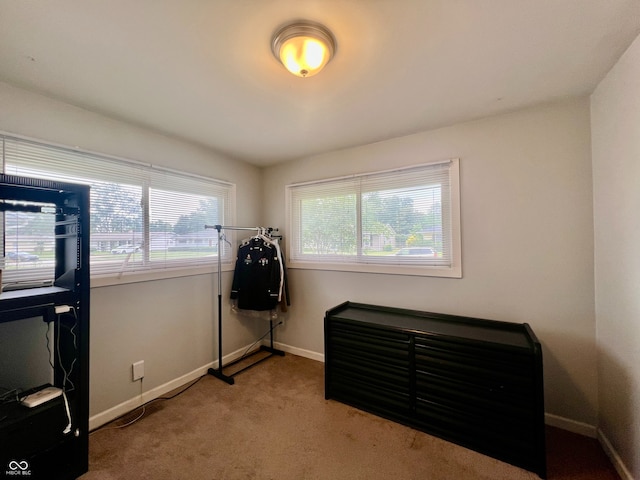 2833 Desoto Way, Columbus, IN 47203 - misc room featuring healthy amount of natural light, baseboards, and light colored carpet