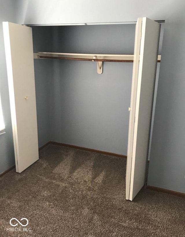 55 W Fall Creek Parkway S Drive, Indianapolis, IN 46208 - view of closet