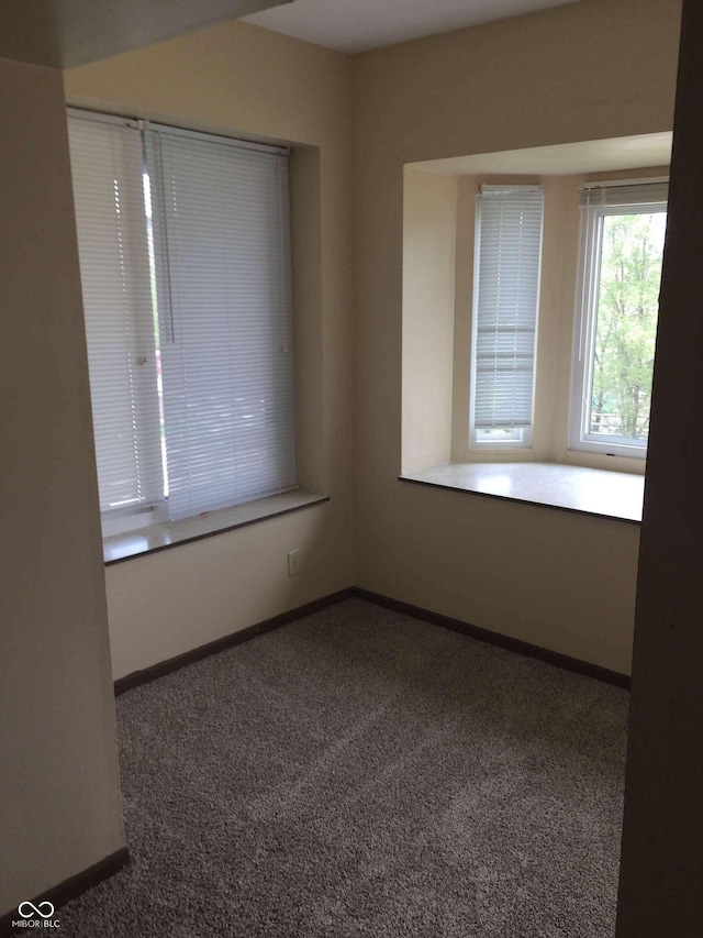 55 W Fall Creek Parkway S Drive, Indianapolis, IN 46208 - carpeted empty room featuring baseboards