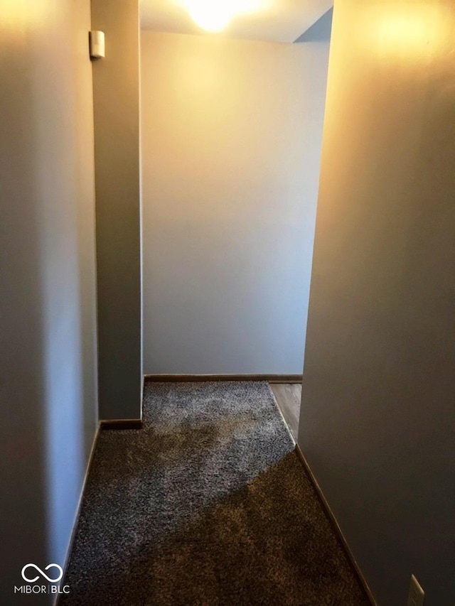 55 W Fall Creek Parkway S Drive, Indianapolis, IN 46208 - hallway with carpet floors and baseboards