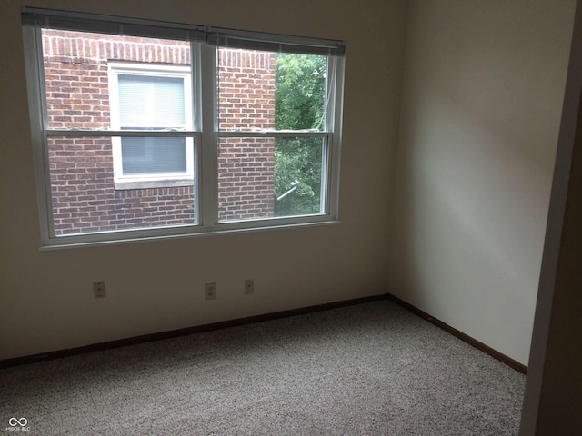 59 W Fall Creek Parkway S Drive, Indianapolis, IN 46208 - carpeted empty room with healthy amount of natural light and baseboards