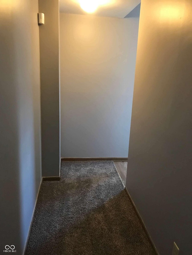 59 W Fall Creek Parkway S Drive, Indianapolis, IN 46208 - corridor with carpet floors and baseboards