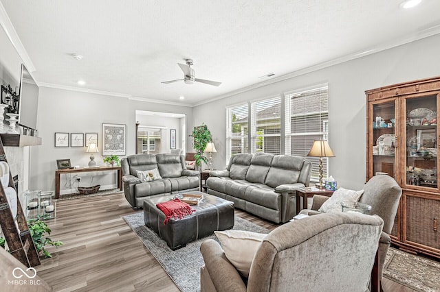 17309 Graley Pl, Westfield, IN 46074 - living area with a ceiling fan, recessed lighting, light wood-style flooring, crown molding, and a fireplace