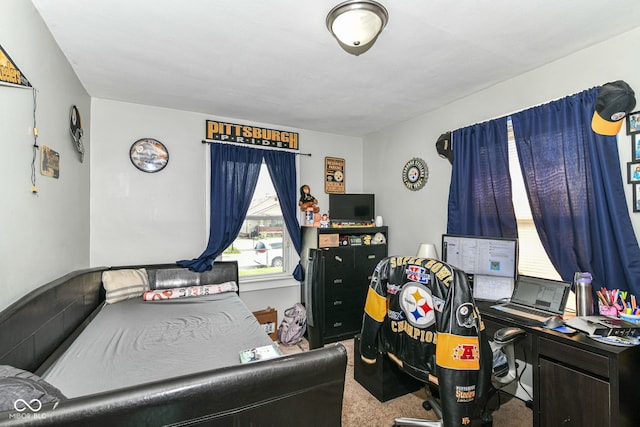 1619 E Bradbury Ave, Indianapolis, IN 46203 - view of carpeted home office