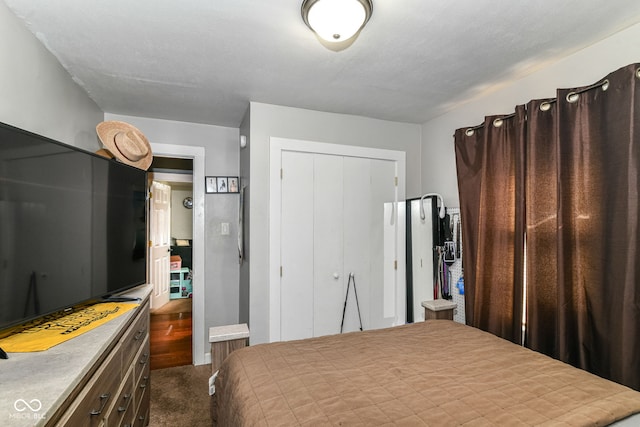 1619 E Bradbury Ave, Indianapolis, IN 46203 - bedroom with a closet and dark colored carpet