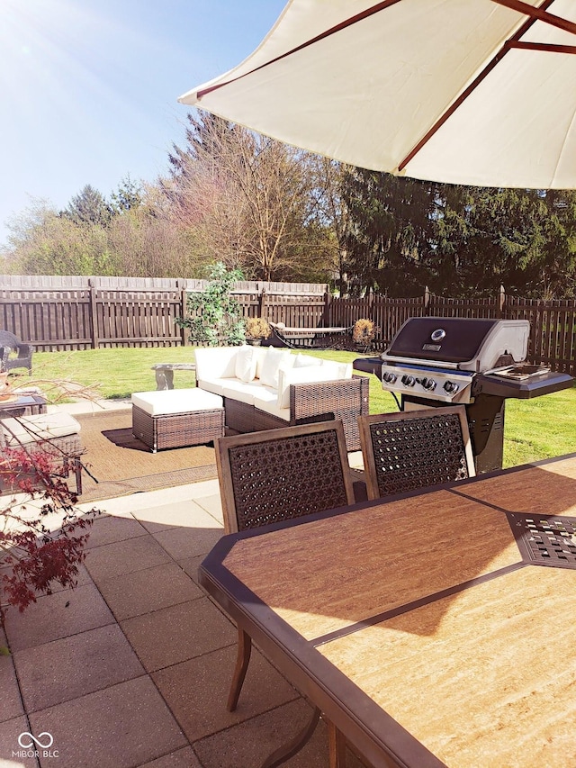 10197 Apple Blossom Cir, Fishers, IN 46038 - fenced backyard featuring a patio, an outdoor hangout area, and area for grilling
