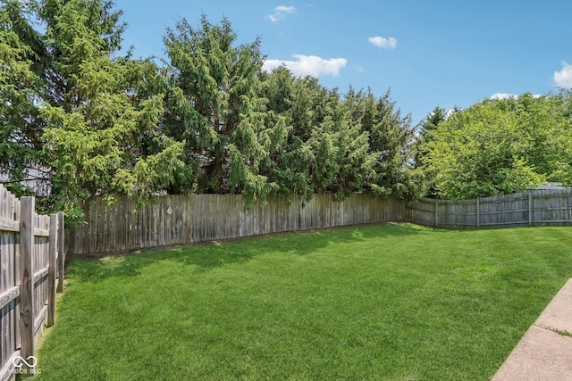 17357 Austrian Pine Way, Westfield, IN 46074 - view of yard