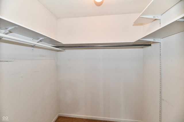 3429 Pavetto Ln, Indianapolis, IN 46203 - spacious closet featuring carpet flooring