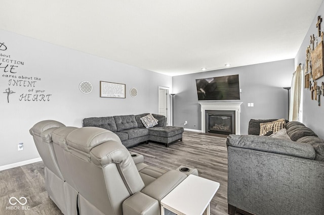 living area with wood finished floors, baseboards, and a glass covered fireplace