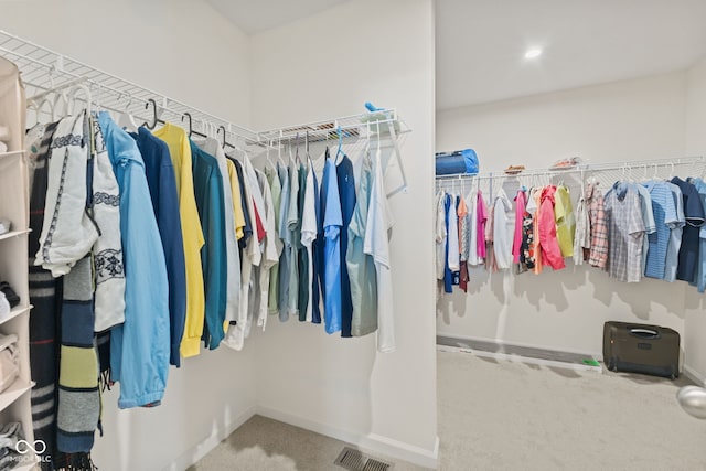 1026 Sorrell Pass, Greenwood, IN 46143 - spacious closet with carpet floors