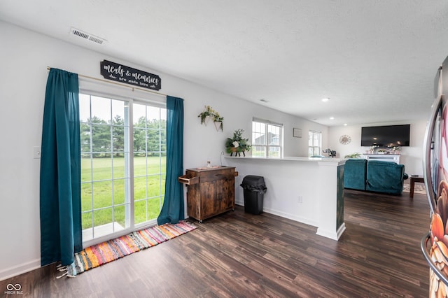 5794 Wintersweet Ln, Whitestown, IN 46075 - kitchen with dark wood-style flooring, a peninsula, open floor plan, baseboards, and a textured ceiling