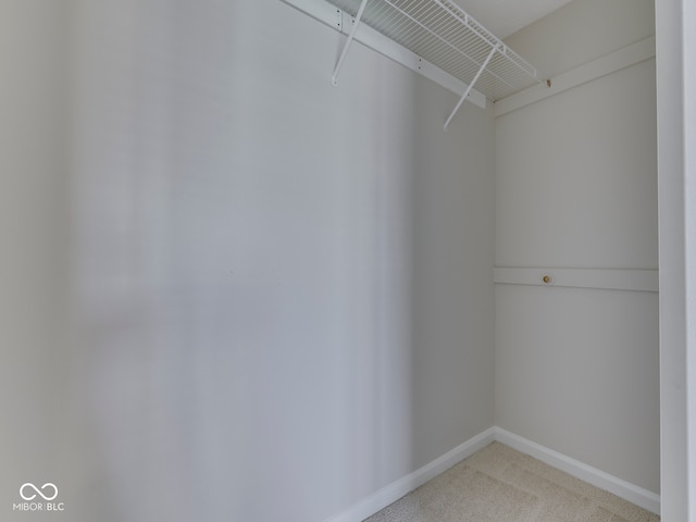 824 Ashton Park Dr, Greenwood, IN 46143 - walk in closet featuring light colored carpet