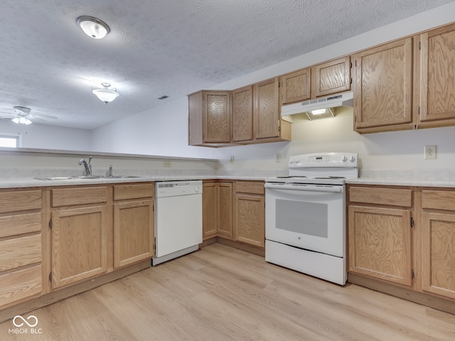824 Ashton Park Dr, Greenwood, IN 46143 - kitchen with white appliances, a sink, under cabinet range hood, a textured ceiling, and light wood-type flooring