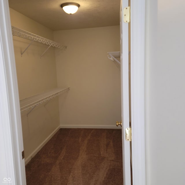 1306 W Daniel Dr, Greensburg, IN 47240 - walk in closet with carpet floors