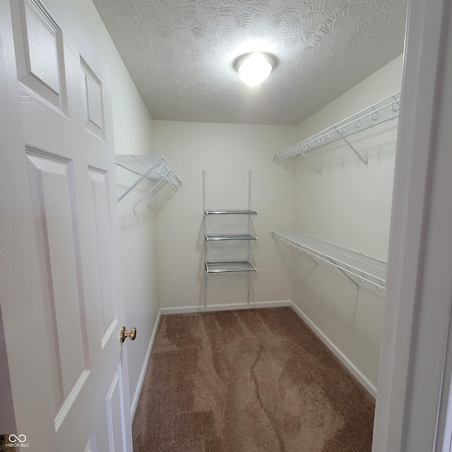 1306 W Daniel Dr, Greensburg, IN 47240 - spacious closet featuring carpet floors