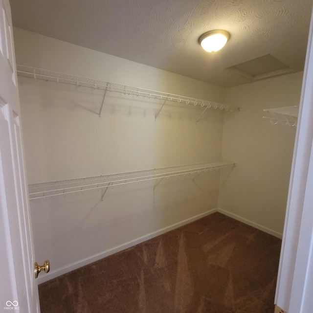 1306 W Daniel Dr, Greensburg, IN 47240 - walk in closet featuring carpet and attic access