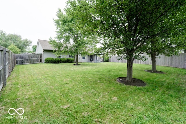12157 Longstraw Dr, Indianapolis, IN 46236 - view of yard
