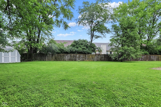 7430 Railway Ct, Indianapolis, IN 46256 - view of yard