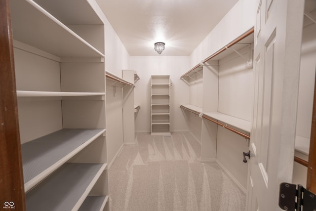 1188 Old Eagle Way, Greenwood, IN 46143 - walk in closet featuring light carpet
