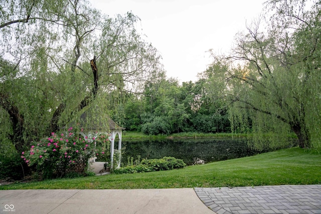1188 Old Eagle Way, Greenwood, IN 46143 - view of green lawn with a water view