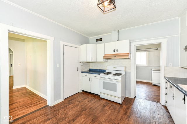 402 E 4th St, Sheridan, IN 46069 - kitchen featuring white gas stove, under cabinet range hood, dark wood finished floors, dark countertops, and crown molding