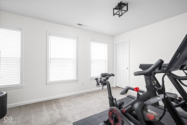6305 N Woodhaven Dr, Mccordsville, IN 46055 - workout area with baseboards, carpet flooring, and healthy amount of natural light