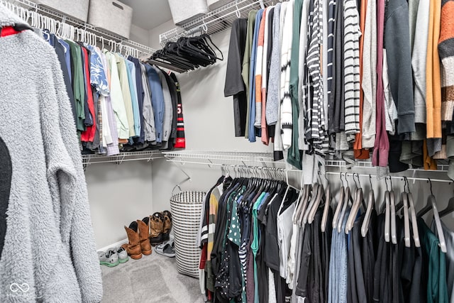 6305 N Woodhaven Dr, Mccordsville, IN 46055 - spacious closet featuring carpet flooring