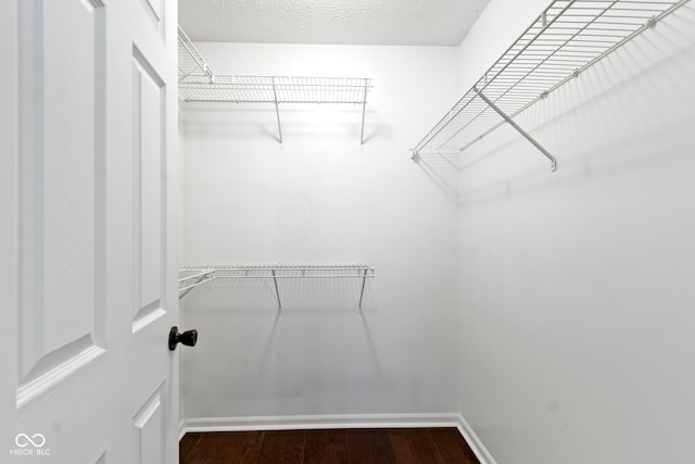 603 Daviess Dr, Westfield, IN 46074 - walk in closet with wood finished floors