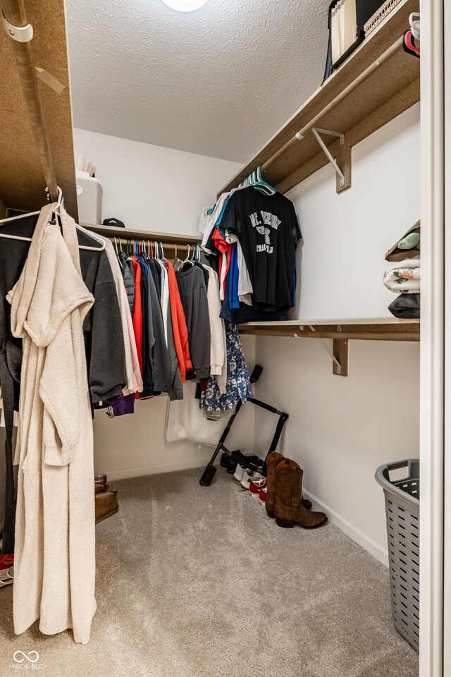 8223 Thoroughbred Run, Indianapolis, IN 46256 - walk in closet featuring carpet flooring