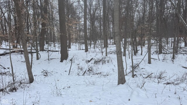 0 100 W, Perrysville, IN 47974 - photo 27
