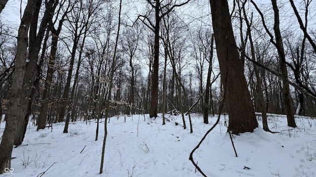 0 100 W, Perrysville, IN 47974 - photo 26
