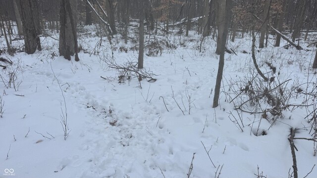 0 100 W, Perrysville, IN 47974 - photo 28
