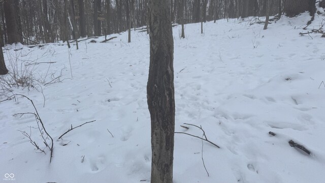0 100 W, Perrysville, IN 47974 - photo 25