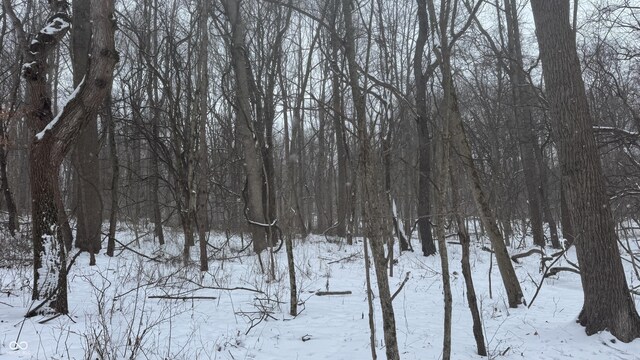 0 100 W, Perrysville, IN 47974 - photo 29
