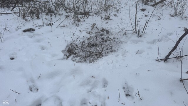 0 100 W, Perrysville, IN 47974 - photo 24