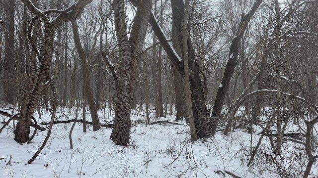 0 100 W, Perrysville, IN 47974 - photo 30