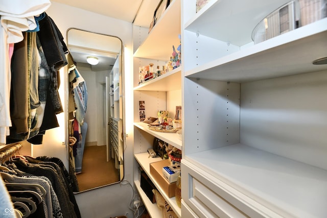 2805 Rylee Ct, Greenwood, IN 46143 - view of walk in closet