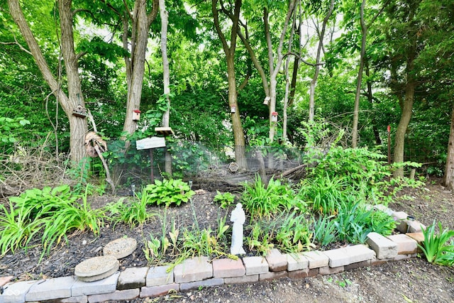 2805 Rylee Ct, Greenwood, IN 46143 - view of undeveloped land