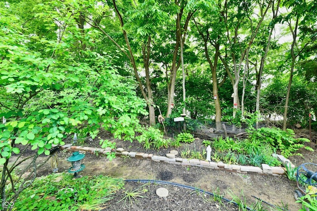 2805 Rylee Ct, Greenwood, IN 46143 - view of local wilderness