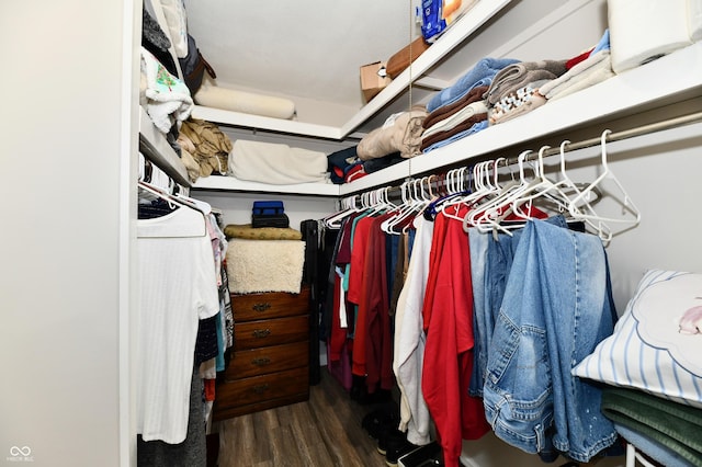 1910 Ivy Dr, Anderson, IN 46011 - walk in closet with wood finished floors