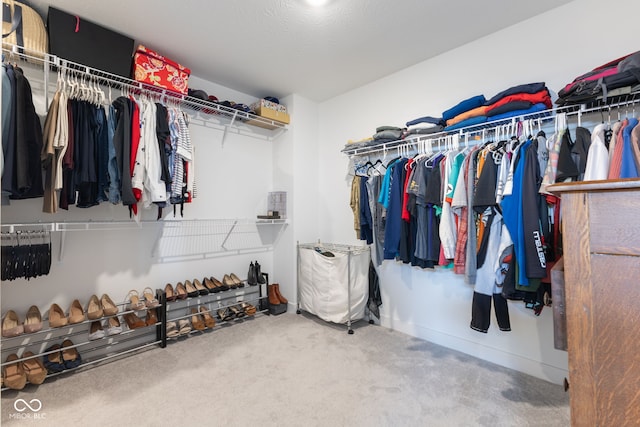 walk in closet featuring carpet