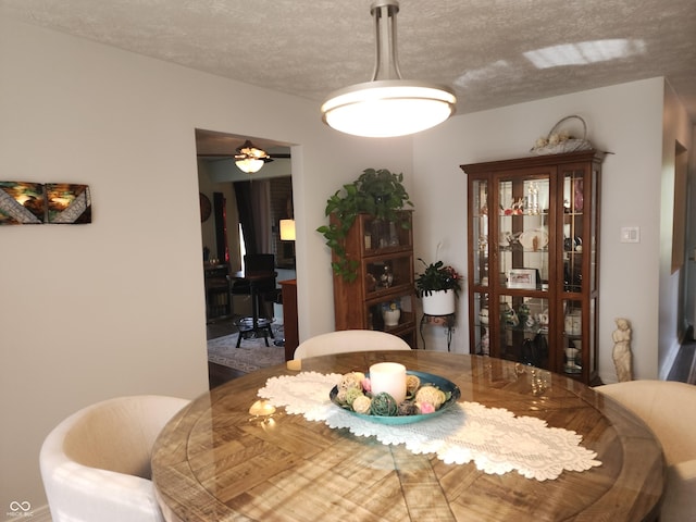 7870 E County Road 150 S, Avon, IN 46123 - dining space featuring a textured ceiling and ceiling fan