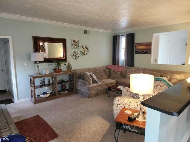 7870 E County Road 150 S, Avon, IN 46123 - living room with carpet floors, crown molding, and a textured ceiling
