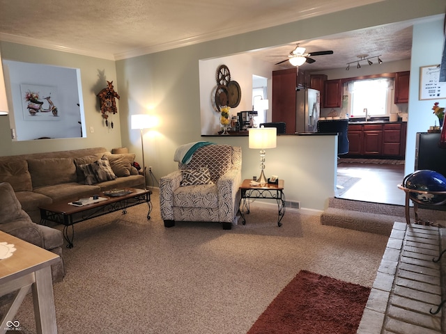 7870 E County Road 150 S, Avon, IN 46123 - carpeted living area with a ceiling fan, crown molding, and a textured ceiling